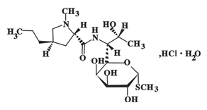 鹽酸林可霉素注射液.png